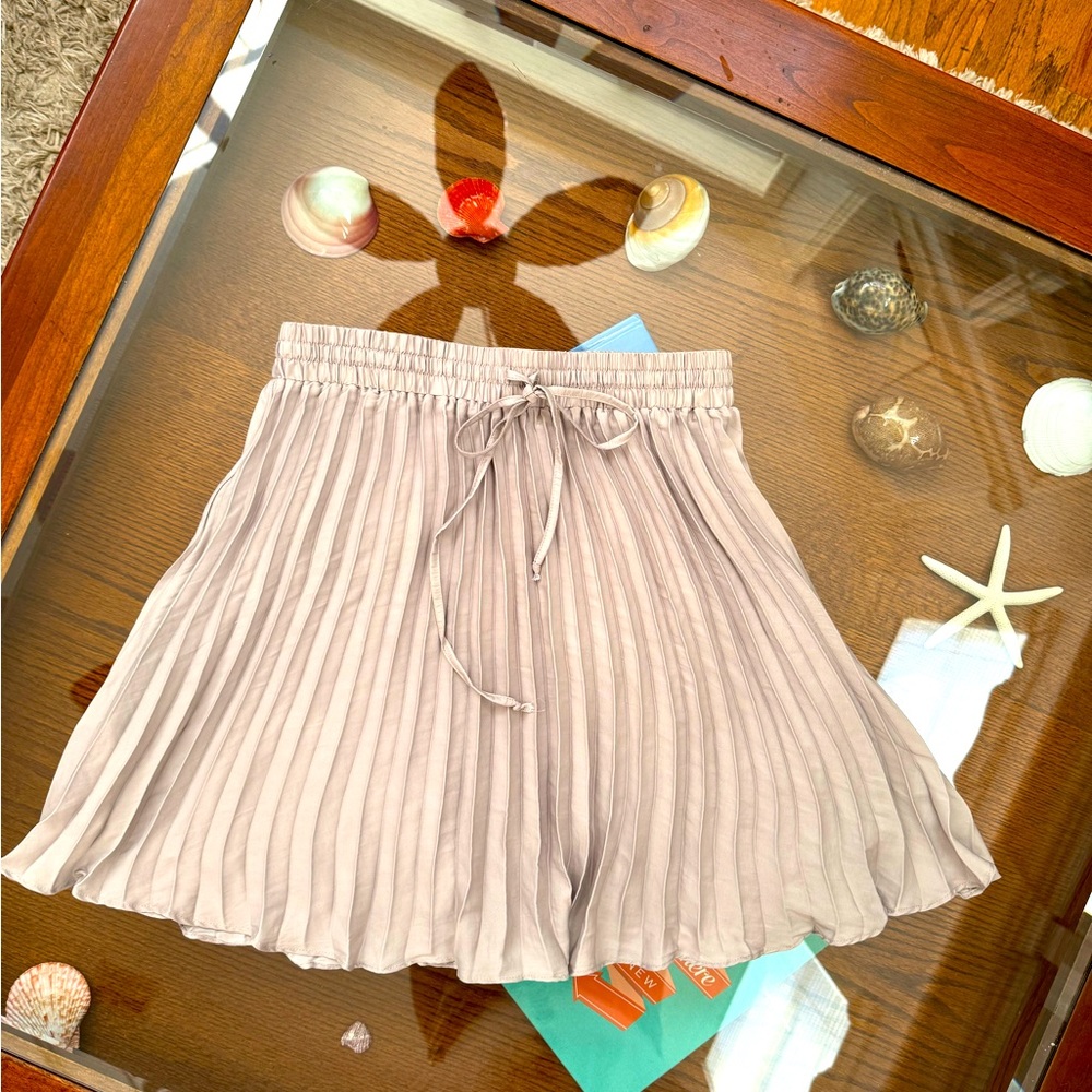Boutique pleated mini skirt